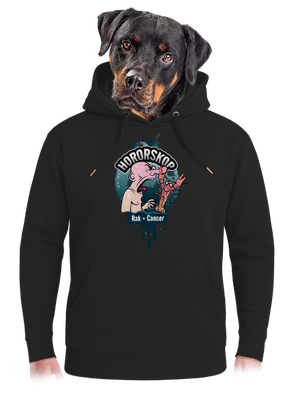 unisex mikina premium