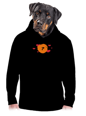 pánská mikina klokanka