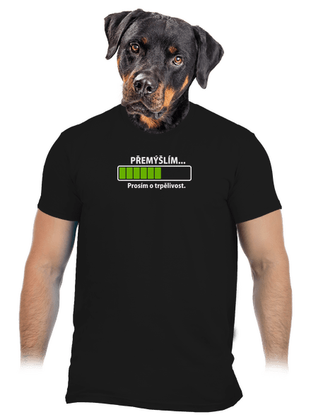 Přemýšlím pánské tričko Black
