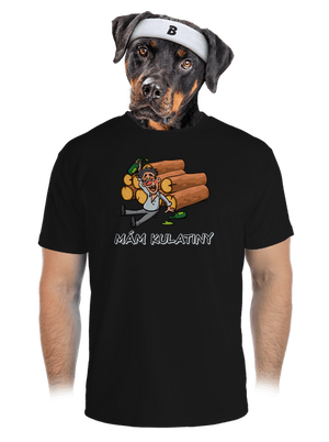 Mám kulatiny pánské sportovní tričko Black