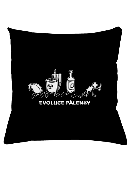 Evoluce pálenky polštář Black