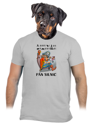 Pán silnic pánské tričko Pacific Grey
