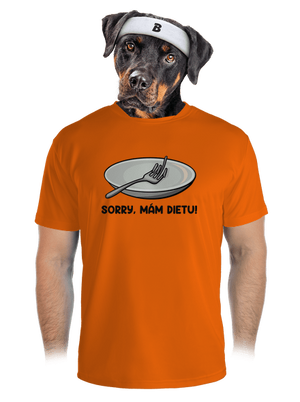 pánské sportovní tričko