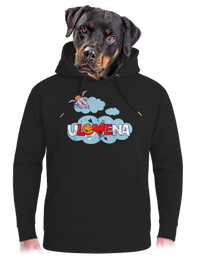 unisex mikina premium