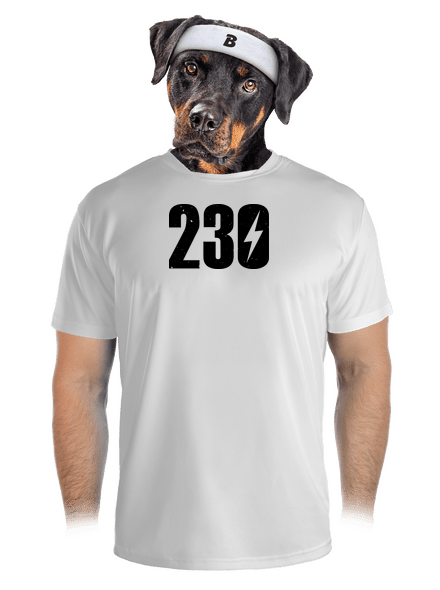 230 V pánské sportovní tričko White