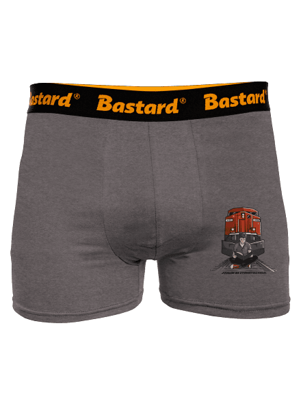 Studentská kolej boxerky Gray Melange