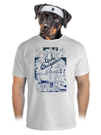 pánské sportovní tričko