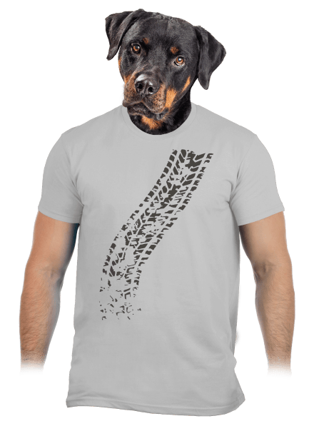 Přejetej pánské tričko Pacific Grey