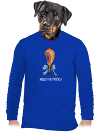 pánské dlouhý rukáv