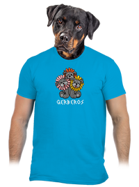 pánské tričko