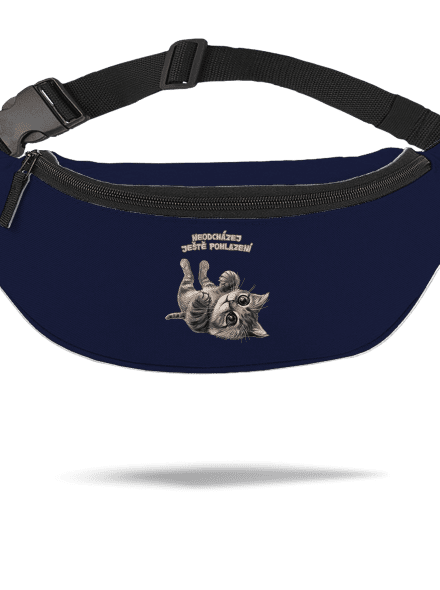 Ještě pohlazení ledvinka French Navy