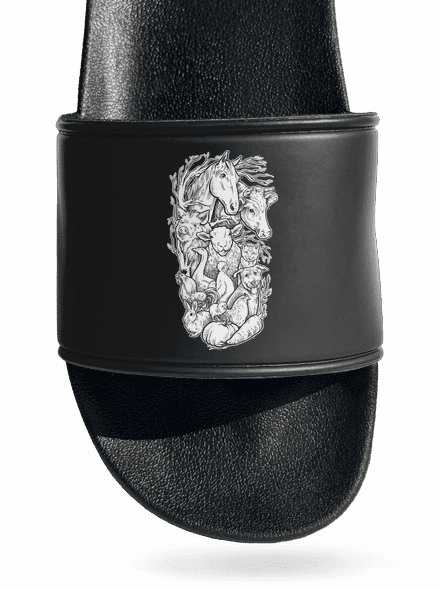 Pastvina pantofle Black