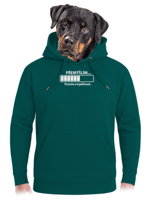 Přemýšlím unisex mikina premium Emerald Green