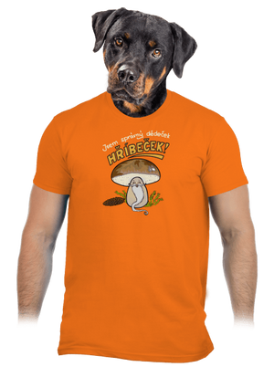 Babka a hříbeček pánské tričko Orange