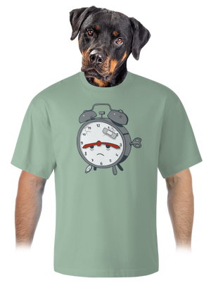 Budíček unisex tričko oversized Sage