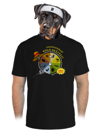 pánské sportovní tričko