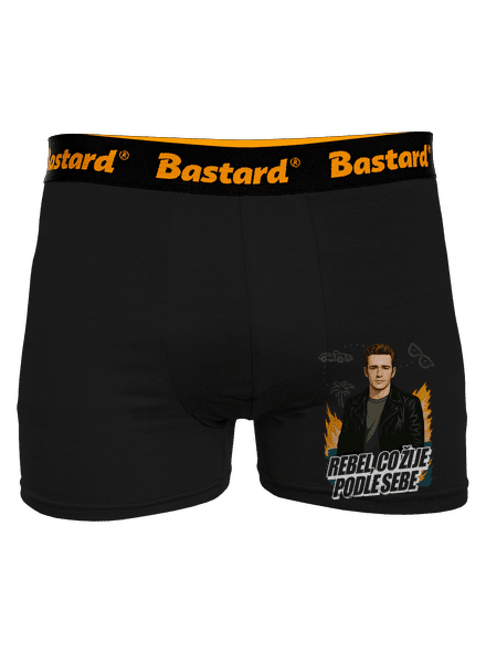 B19: Dylan z Beverly Hills boxerky Black