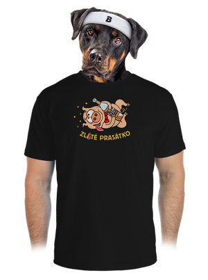 pánské sportovní tričko