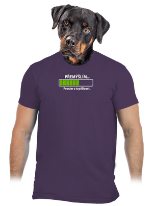 Přemýšlím pánské tričko Urban Purple