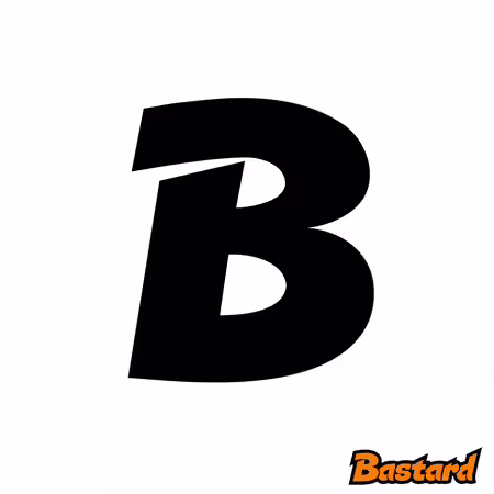 Bastard v ikoně