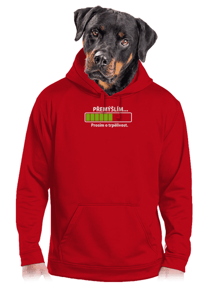 Přemýšlím pánská mikina klokanka Red