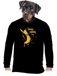 pánské dlouhý rukáv