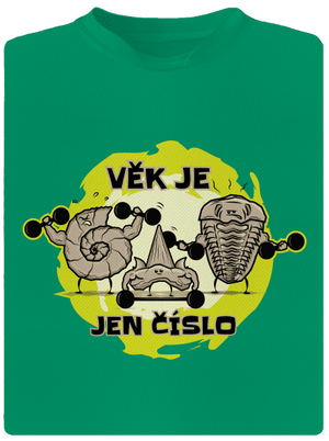 Věk je jen číslo dětské sportovní tričko Kelly Green Mal