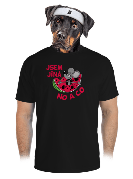 Jsem jiná pánské sportovní tričko Black