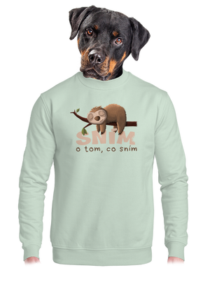 Sním o tom, co sním unisex mikina bez kapuce Blush Mint