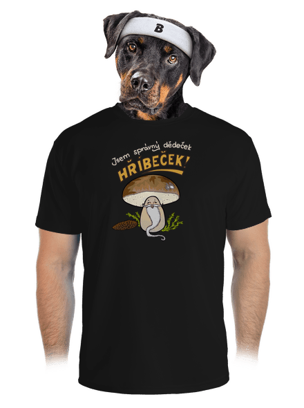 Babka a hříbeček pánské sportovní tričko Black