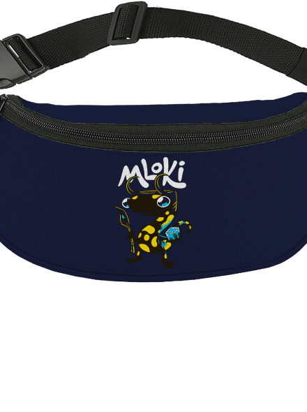 mLoki ledvinka French Navy