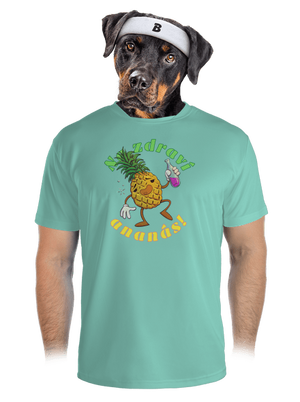 pánské sportovní tričko