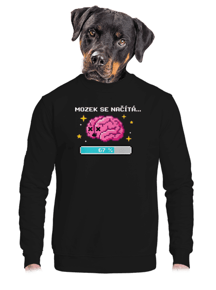 Mozek se načítá unisex mikina bez kapuce Black
