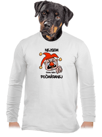 pánské dlouhý rukáv