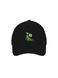 kšiltovka baseballka