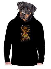 pánská mikina klokanka