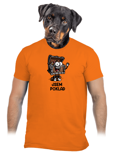 Jsem poklad pánské tričko Orange