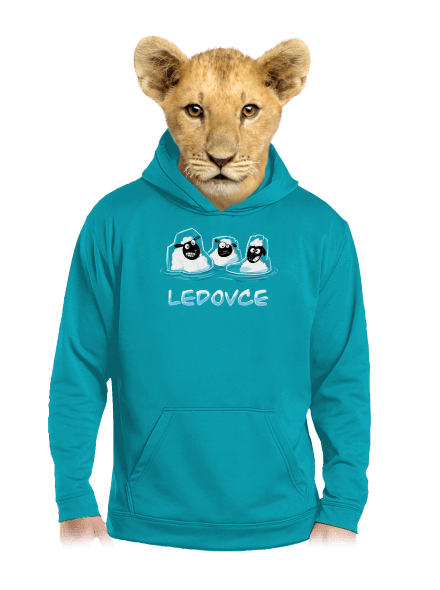 Ledovce dětská mikina klokanka Hawaiian Blue