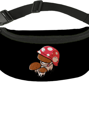 Hřib ledvinka Black