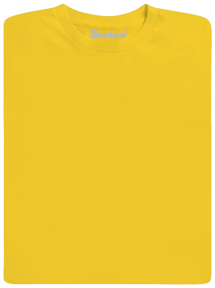 Bez potisku pánské tričko Gold