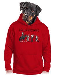 pánská mikina klokanka