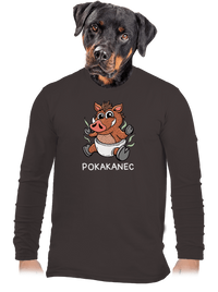 pánské dlouhý rukáv