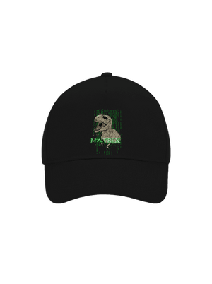 kšiltovka baseballka