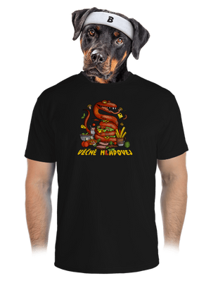 pánské sportovní tričko