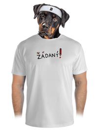 pánské sportovní tričko