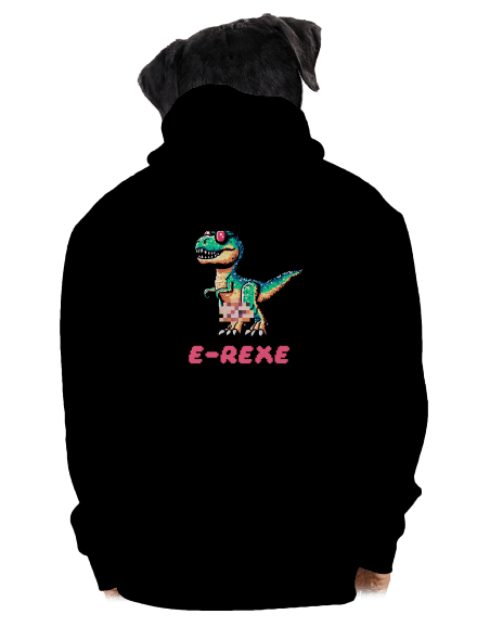 E-Rexe pánská mikina na zip Black