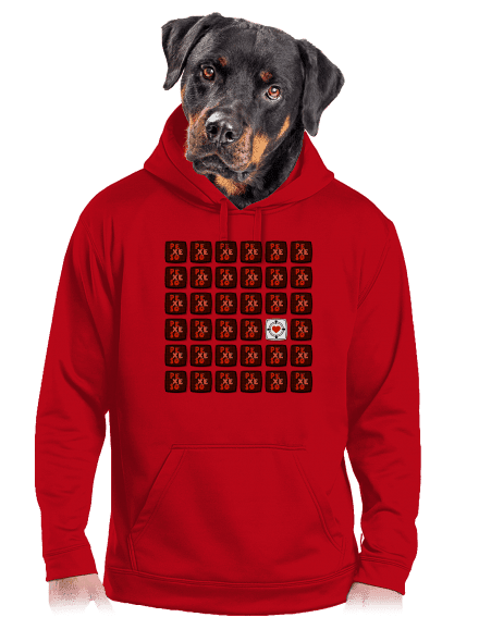 Pexeso pánská mikina klokanka Red