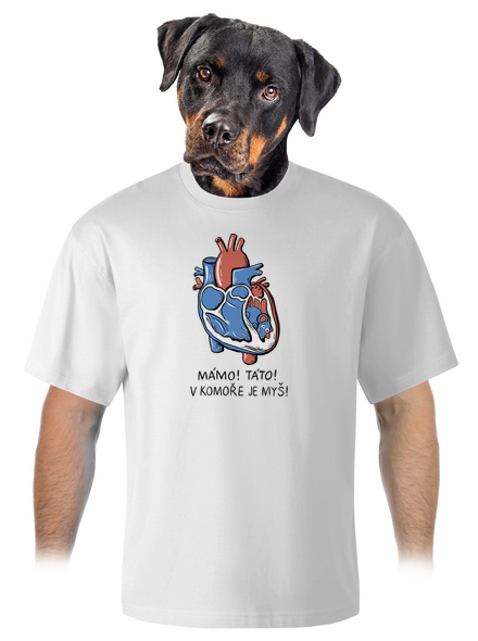 V komoře je myš unisex tričko oversized White