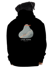 pánská mikina na zip