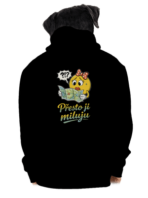 pánská mikina na zip